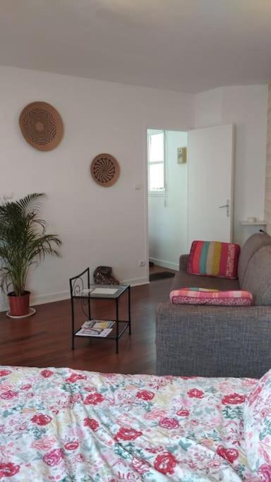 Joli Studio Proche Du Centre Et De La Plage. Douarnenez Εξωτερικό φωτογραφία